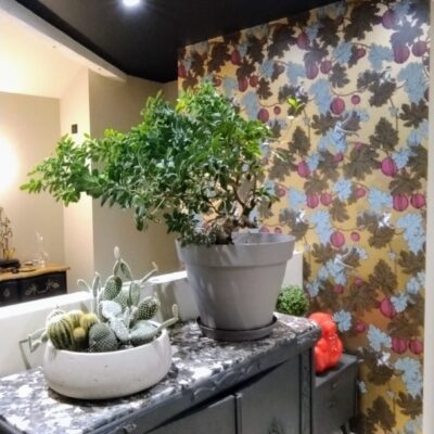 Entreprise de peinture et d&eacute;coration d&rsquo;int&eacute;rieur en Dordogne, Peintures & D&eacute;co.