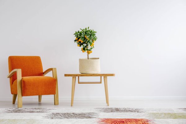 Entreprise de peinture et d&eacute;coration d&rsquo;int&eacute;rieur en Dordogne, Peintures & D&eacute;co.